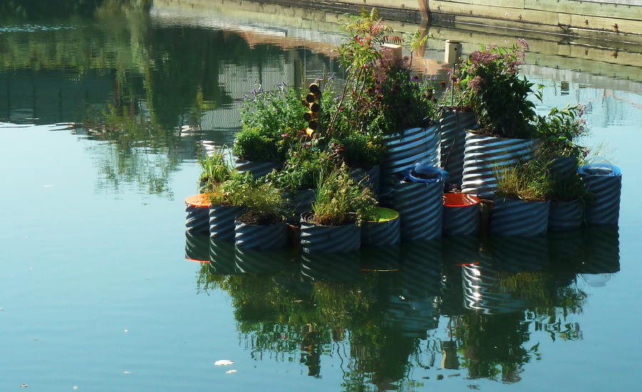 Testing The Waters How Floating Gardens Could Solve Our Biggest Environmental Challenges