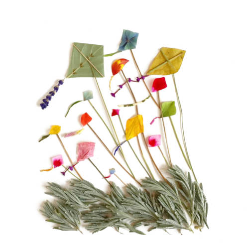 Bridget Beth Collins