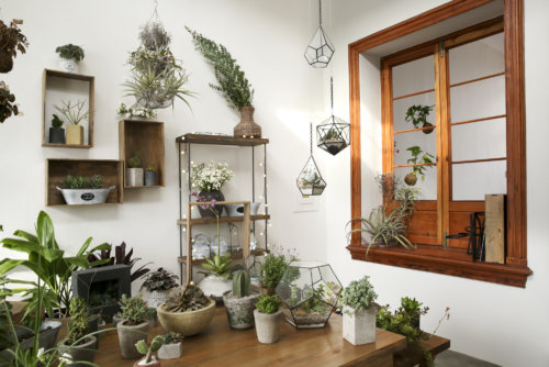 plantique_garden-collage_caterina-rancho-2