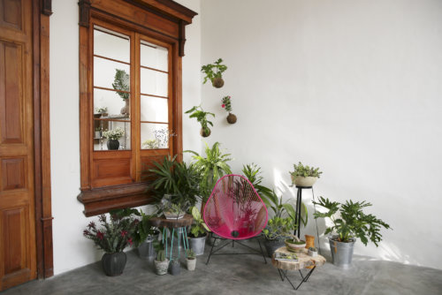 plantique_garden-collage_caterina-rancho