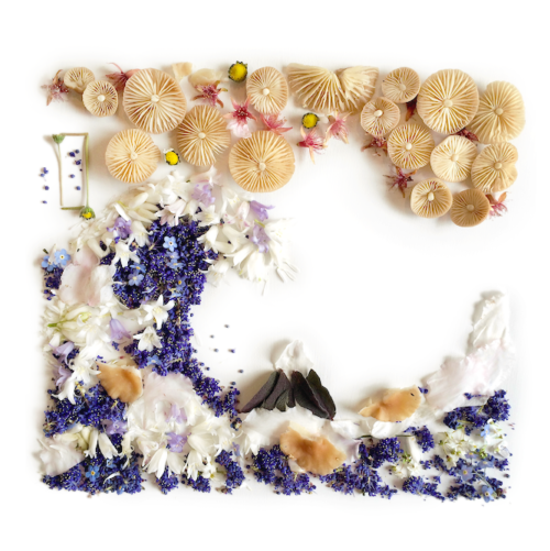 Screen-Shot-2015-10-23-at-4.41.08-PM