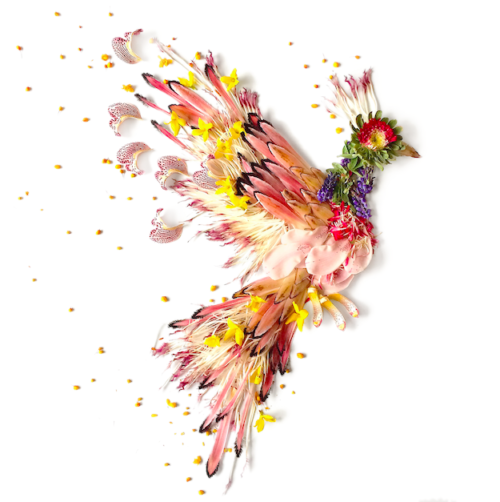 Bridget Beth Collins