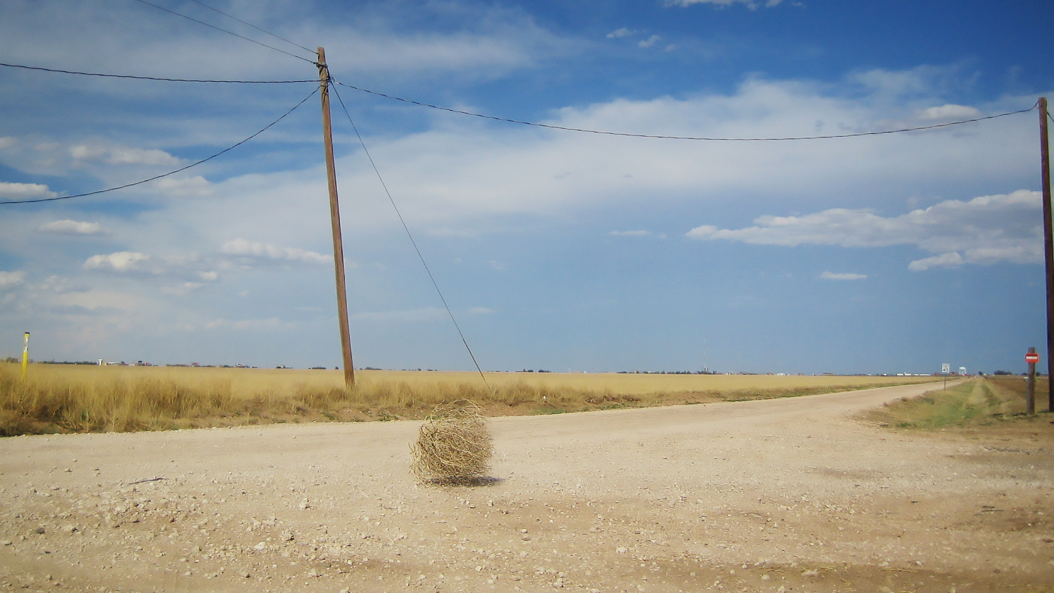 Why Do Tumbleweeds Tumble?