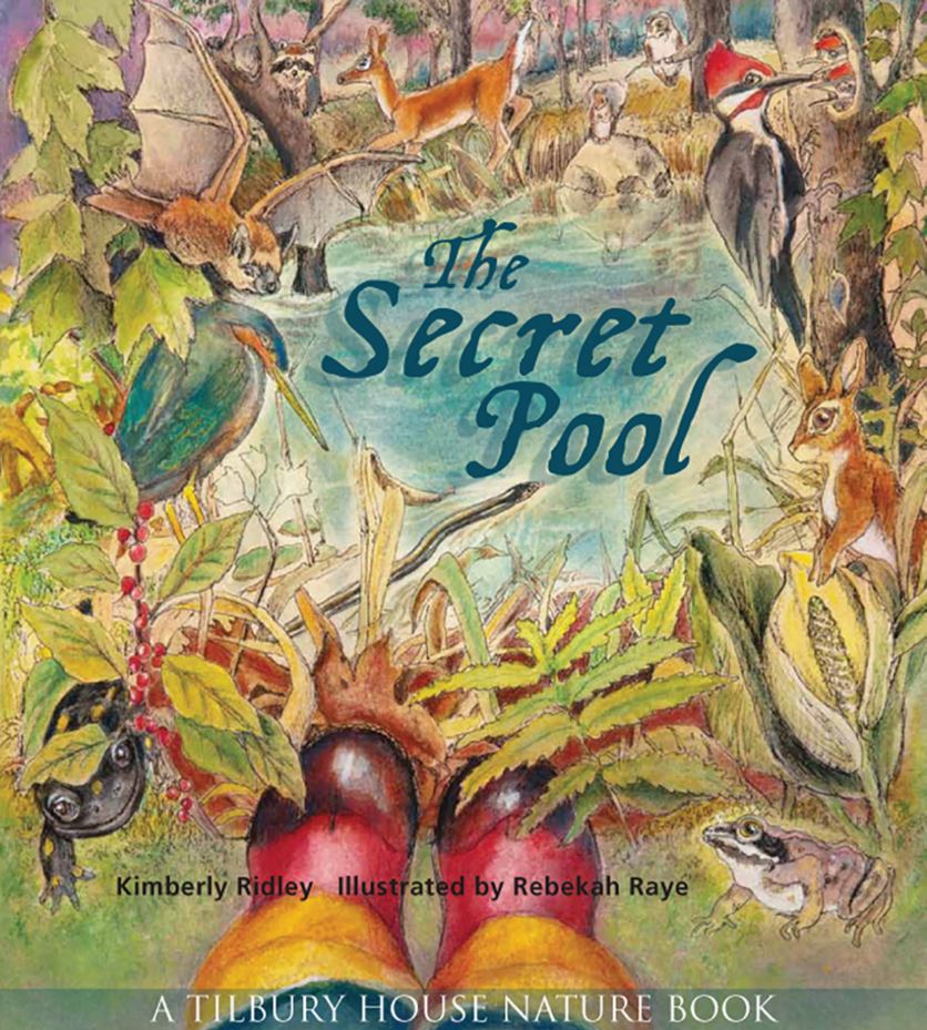 the-secret-pool-cover