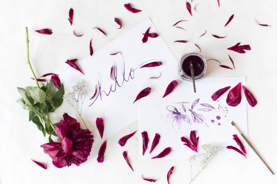 How to Make Ink From Flower Petals Garden Collage Magazine