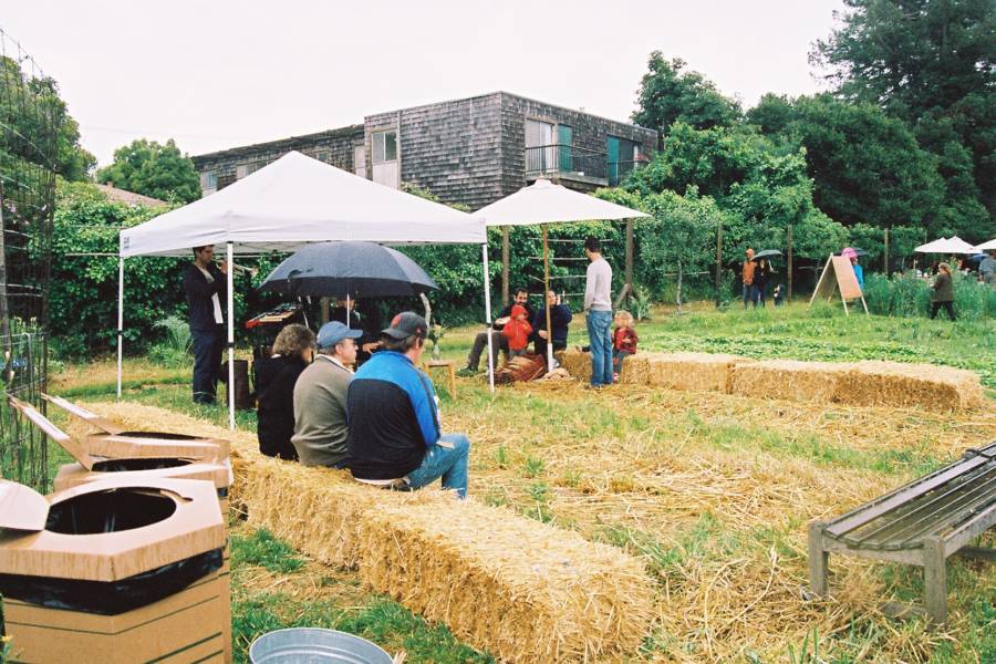A Brooklyn Girl's Guide to Sunday Edible Schoolyard's Berkeley Plant