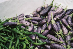 0002812_0002812-R1-016-6A_2