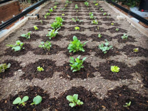 13151480_1030875407000886_2800383706553503998_n