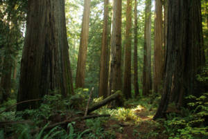 3075797879_b4b08127e4_o