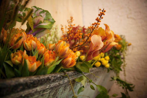 891582_10152042746836412_237627444_o