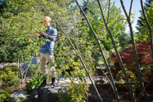 Lead horticulturist Greg Afman