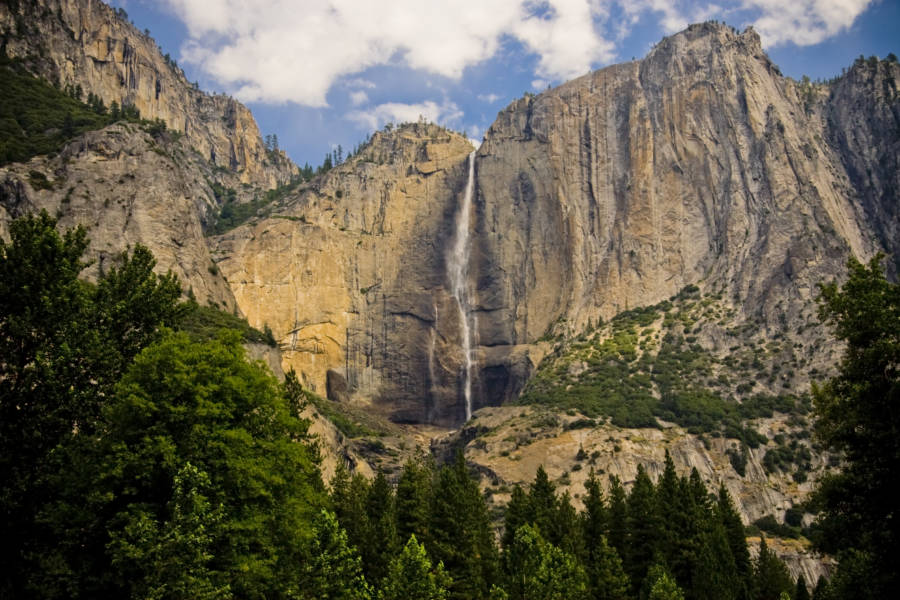 5 Great Environmental Science Youtube Channels (For Kids) Garden Collage Magazine