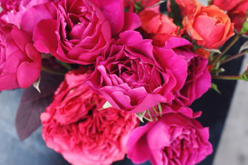 laily-mesbah-samadi3