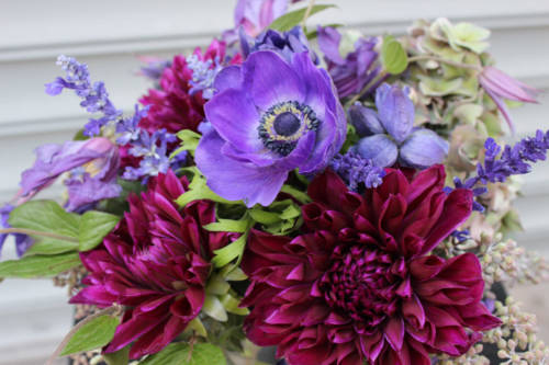 laily-mesbah-samadi8