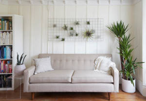 The Nest -- Cactus Home