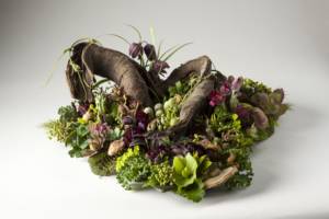 woodland centerpiece - photo Joni Shimabukuro