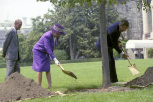 #14 QEII+GHWBTree Planting1991GHWBLibrary