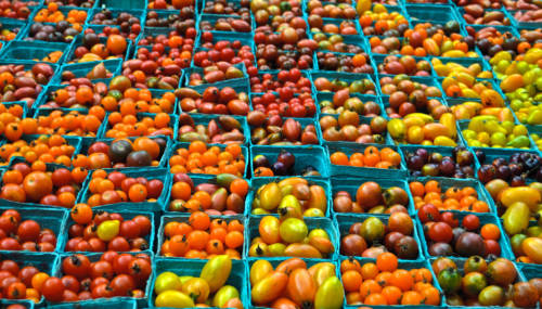 15535822737_3c90523e79_k-2