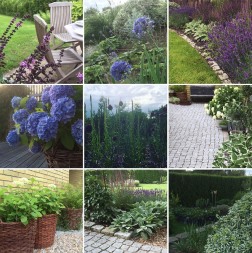 #mygardencollage