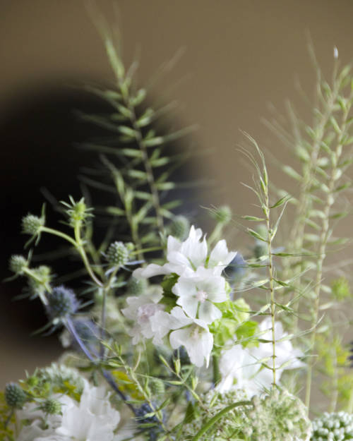 bog myrtle nettle thistle