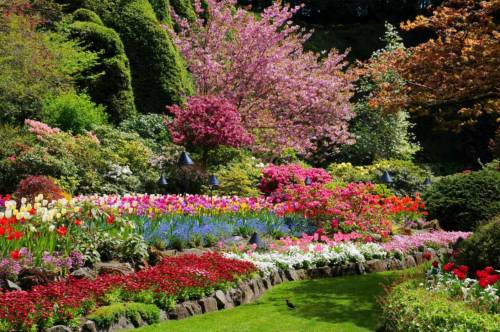 Butchart Gardens2