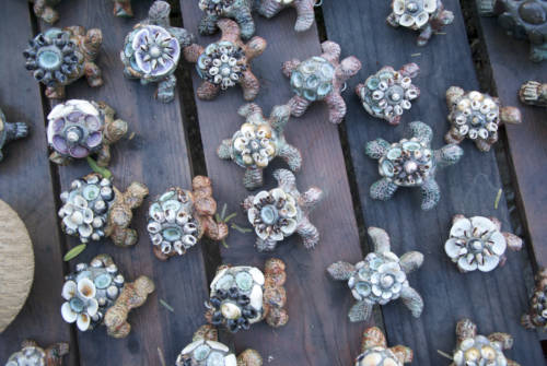 Moorten Botanical Garden