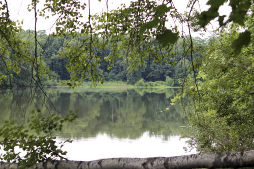 Rockefeller Preserve