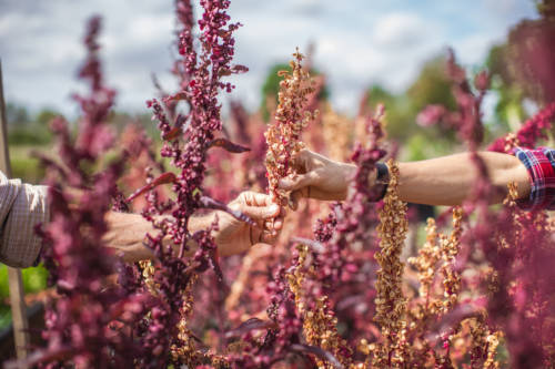 LoghanCallFavorites-0032