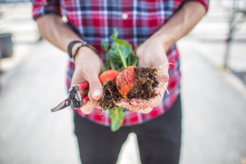 LoghanCallFavorites-0075