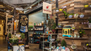 SpiceandTulips4banner