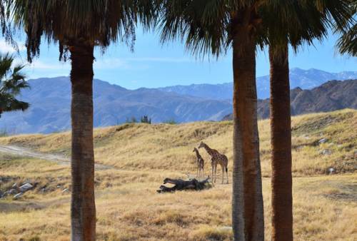 The Living Desert Zoo & Gardens
