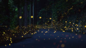 km_20140629_type3_4_cine_cocolog