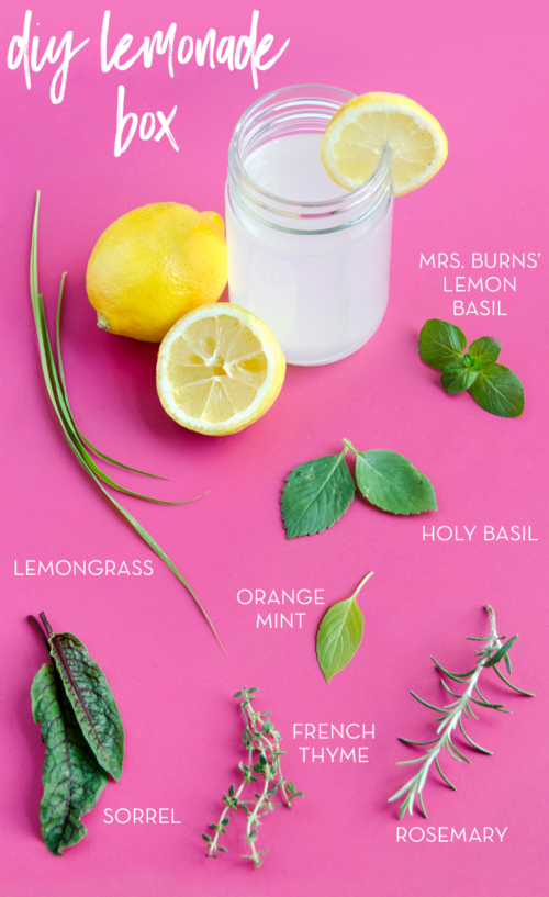 lemonadebox_flattened1