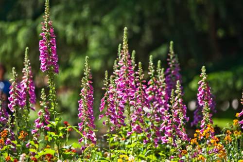 sqpidvopnhh8no2geujx28-1rtk9wucfp3ixkxizc-gjxbbilw0z7xdd5ovdyt7wg0suusal5pdkou6brbvux0pviuwck4p3srmf0j6-nqbcrnl_ckxig4yiqya3joldy