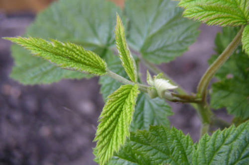 17842966_8ef48ffa5c_b