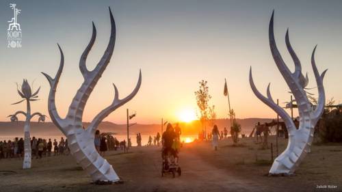 Boom Festival