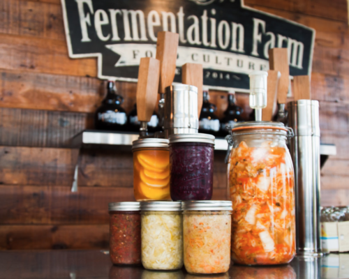 Fermentation Farm