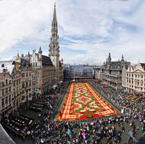 Flower-Carpet-2014-03-_Batistini