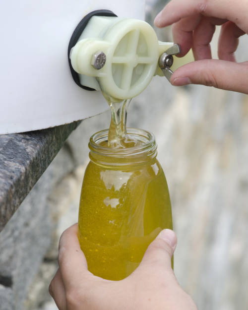 Little Pond Honey GC 2