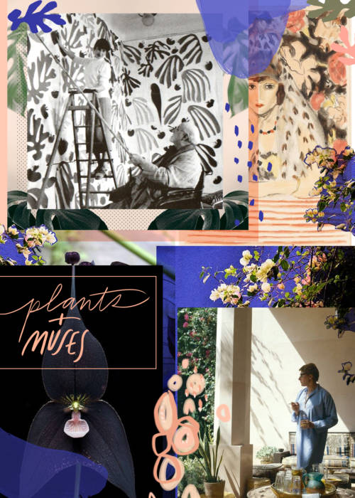 Plants&Muses