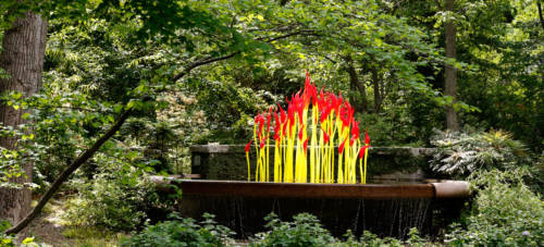 chihuly atlantic botanical garden