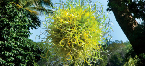 chihuly atlantic botanical garden