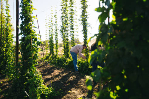 thekellerwhale_JasonHudson_IMG_2152