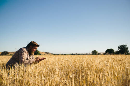 thekellerwhale_JasonHudson_IMG_2182