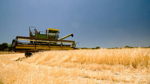 thekellerwhale_JasonHudson_IMG_2219