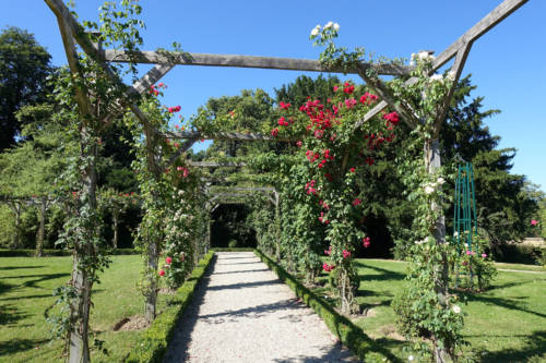 28303850441_c50925bda2_k