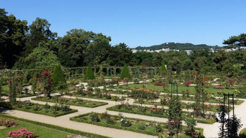 28382683485_560b816368_k