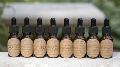 arvolyn_garden-collage_andreana-bitsis-4