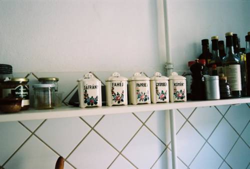 berlin_garden-collage_beatrice-helman-4