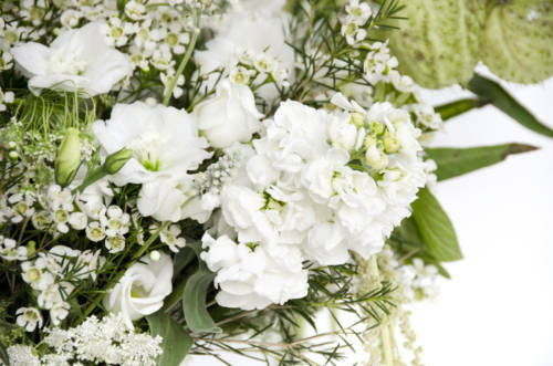 BotW White After Labor Day Garden Collage-10